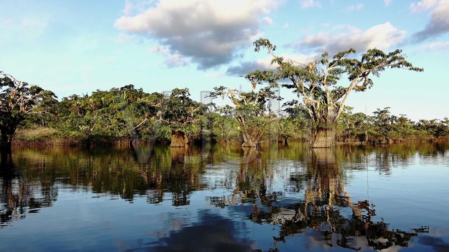 拍照技巧姿势好看图片图2