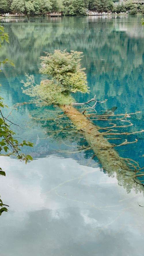 如何用手机拍摄水天一色的水中倒影