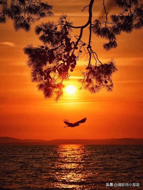 拍视频用什么手机好?