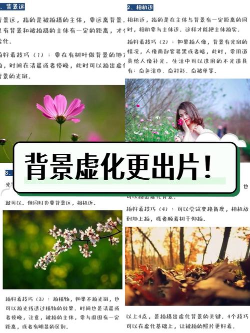 拍照时如何避免背景虚化