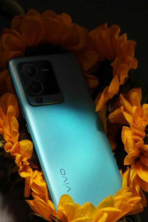 vivo手机哪个系列拍照最好看