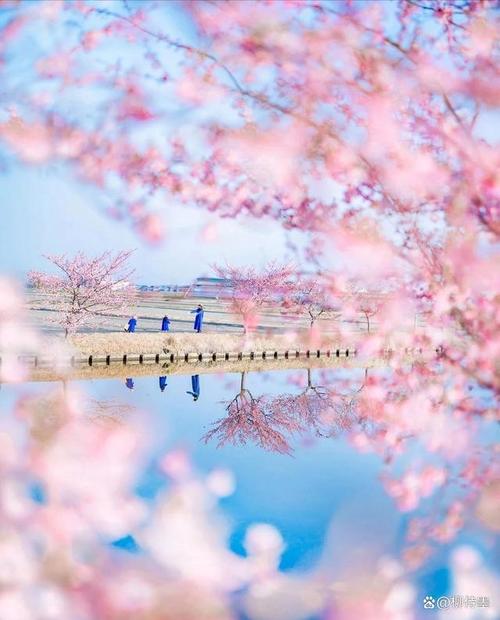 那种手机拍照片好看