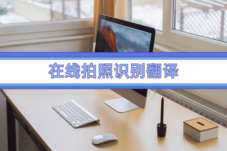 拍照翻译成中文的软件