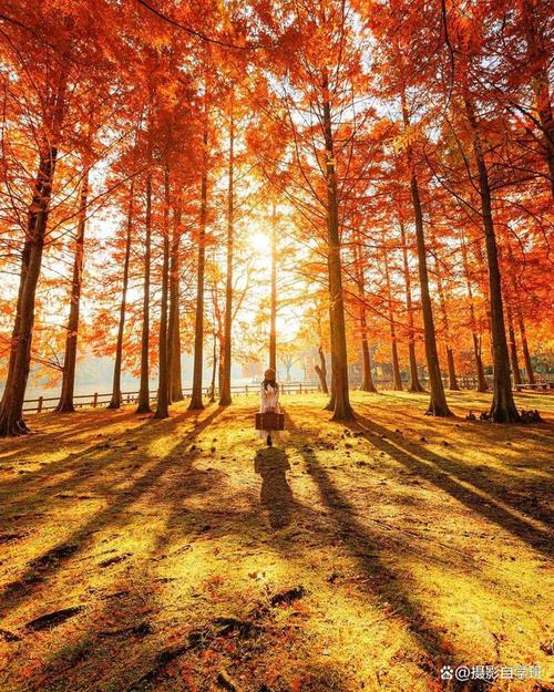 如何在逆光条件下用手机拍出唯美的风景照片?