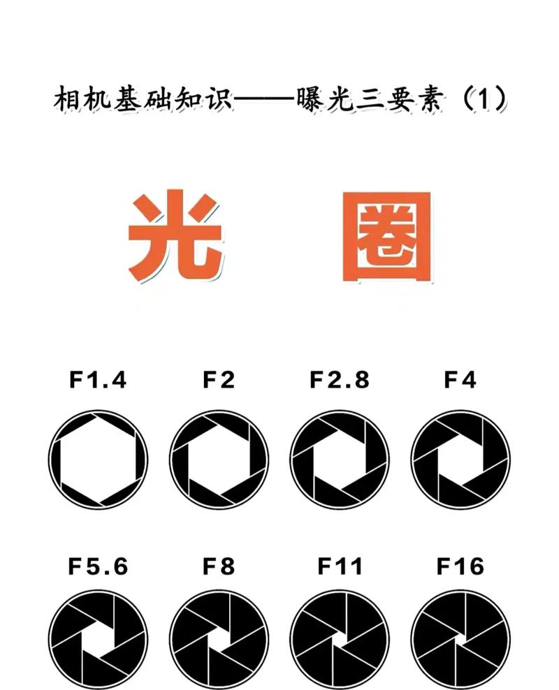 新手入门摄影-相机基础摄影知识(曝光三要素)