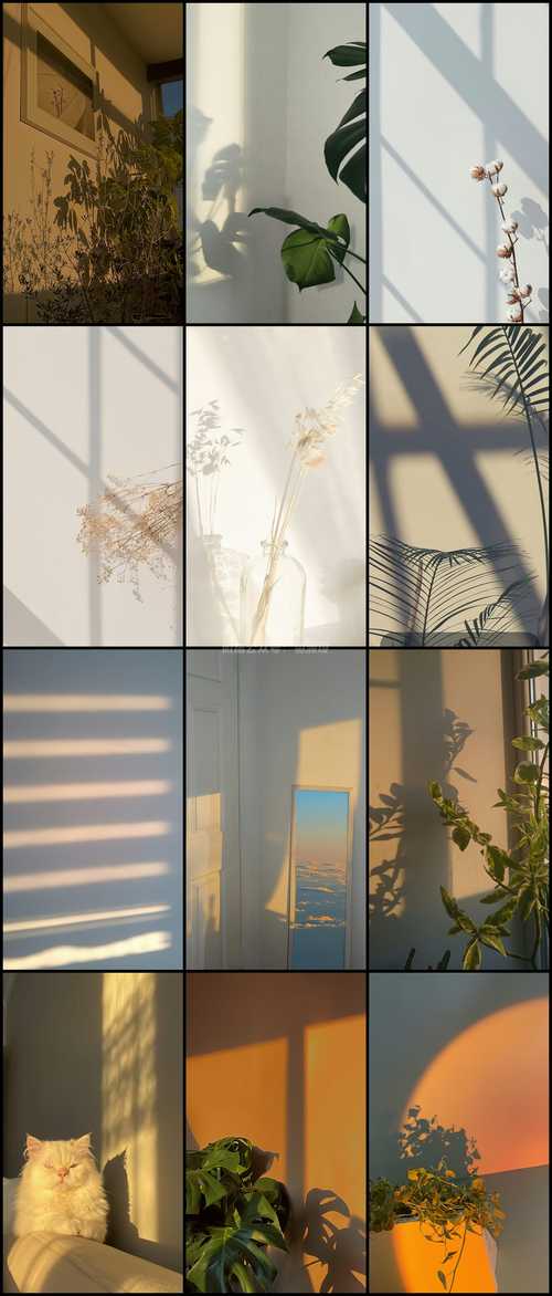 抖音画布背景素材怎么制作