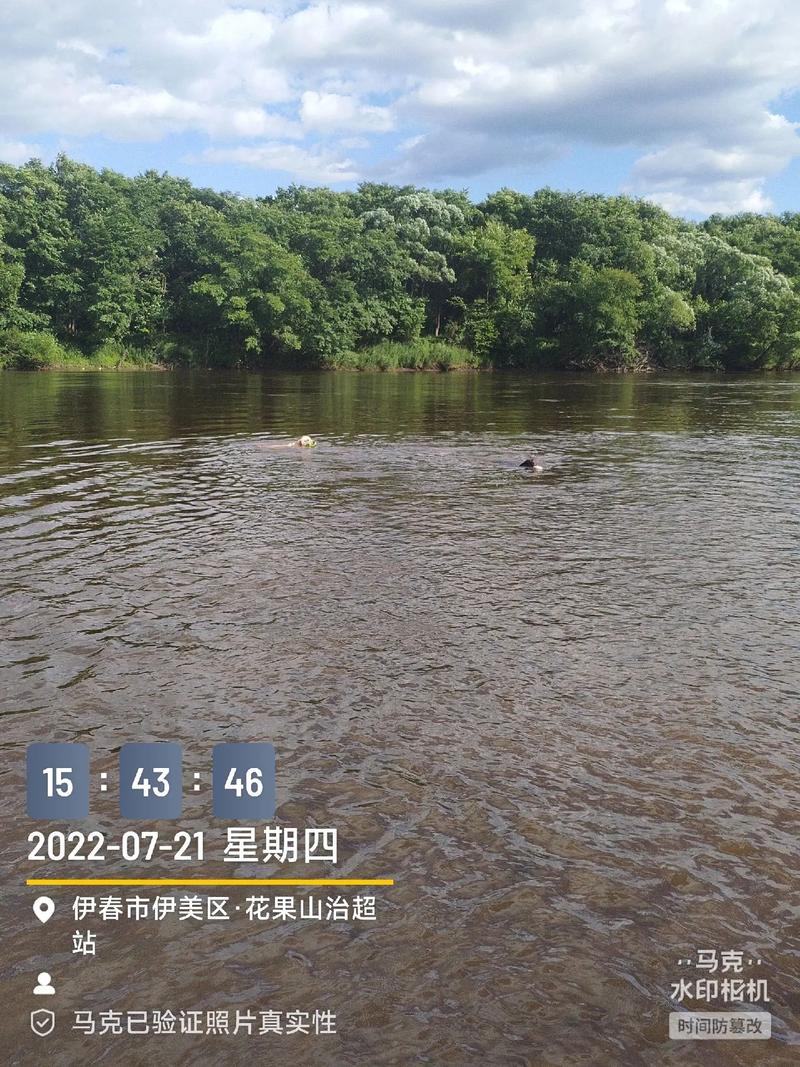 马克水印相机拍的照片不进入相册