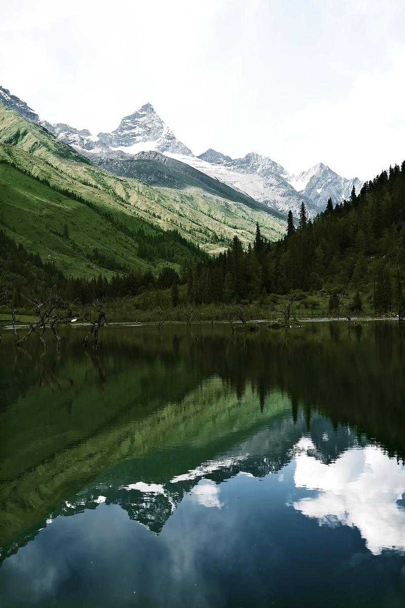 为什么我的拍照没有显示地理位置信息?