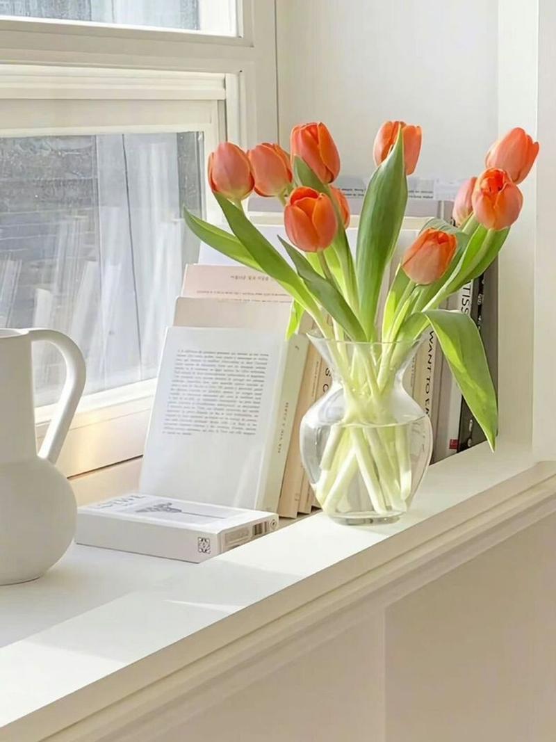 ins背景图治愈系(散落的浪漫序章)