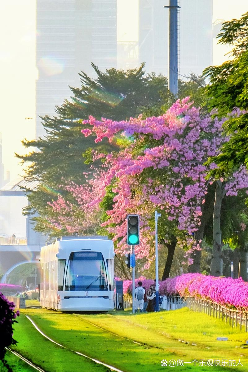 广州有什么很适合在冬季去游玩的旅行景点?