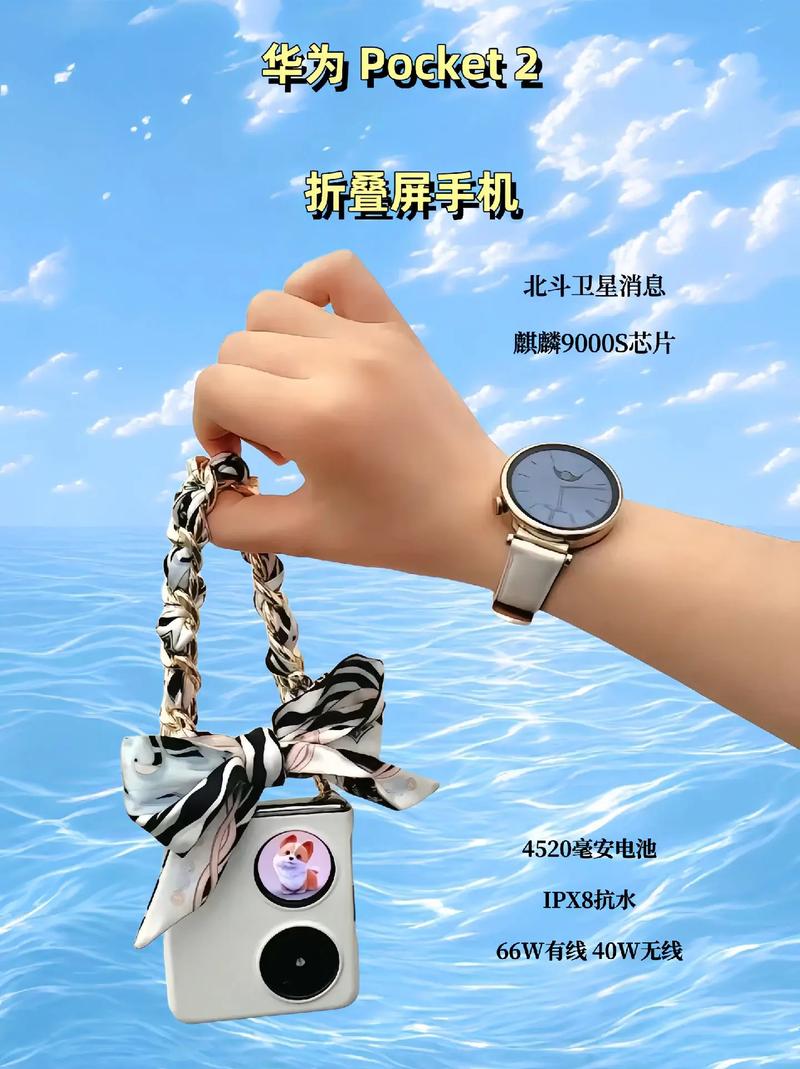 pocket2怎么看之前的