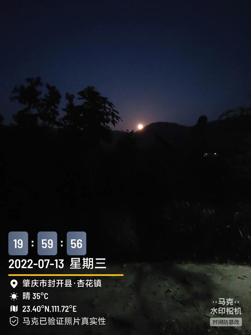 马克水印相机拍的照片不进入相册