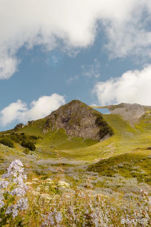 哪款手机拍照最清晰自然真实