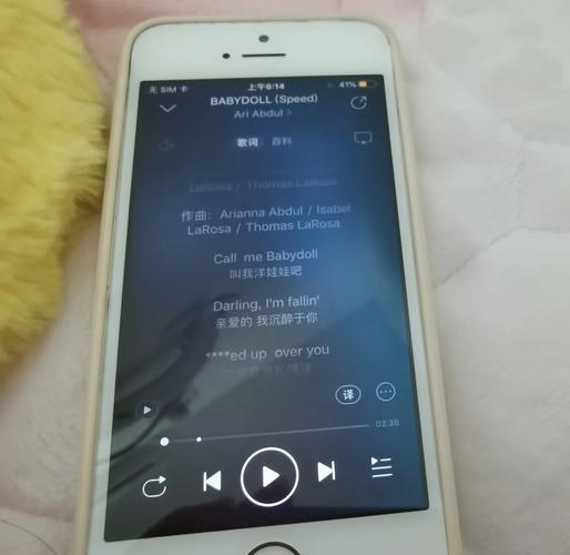 苹果5S水印相机怎么是黑屏的