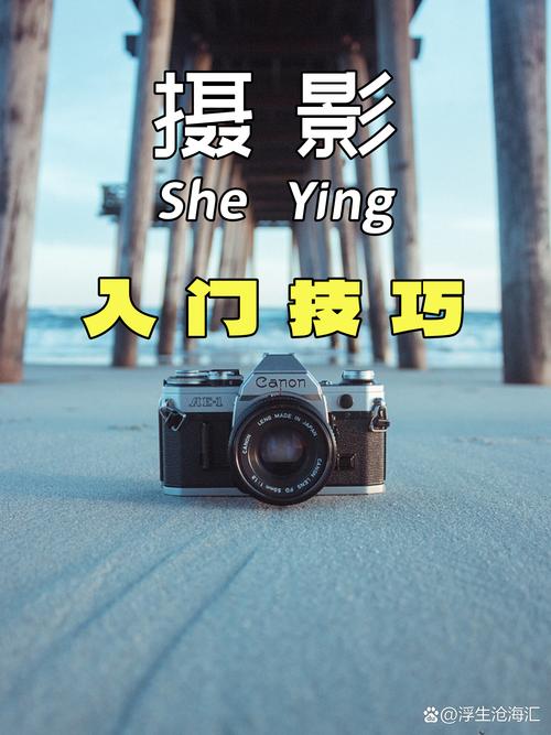 为什么下不到原相机