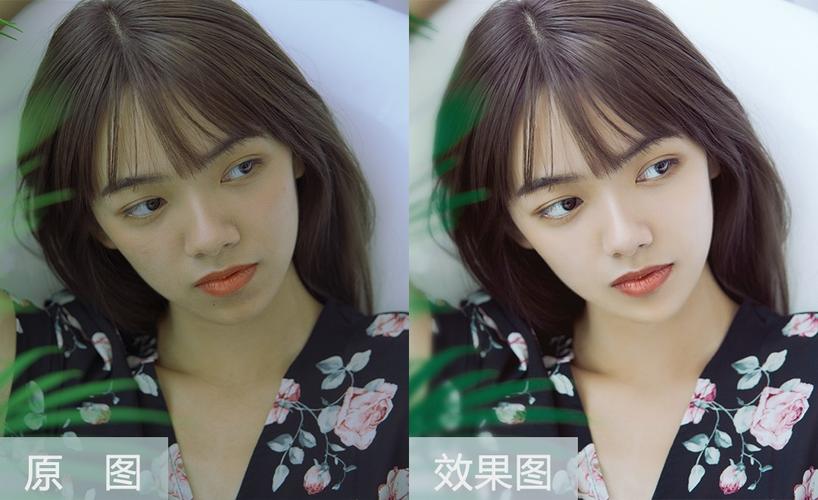 商用人像照片高清-ps人像高级调色技巧|掌握调色技法,轻松快速修调高端商...