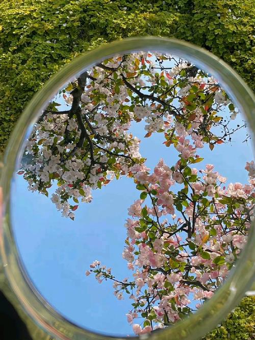 镜子拍照用什么背景墙效果图