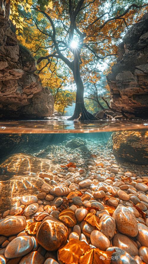 我手机照相的HDR是什么意思