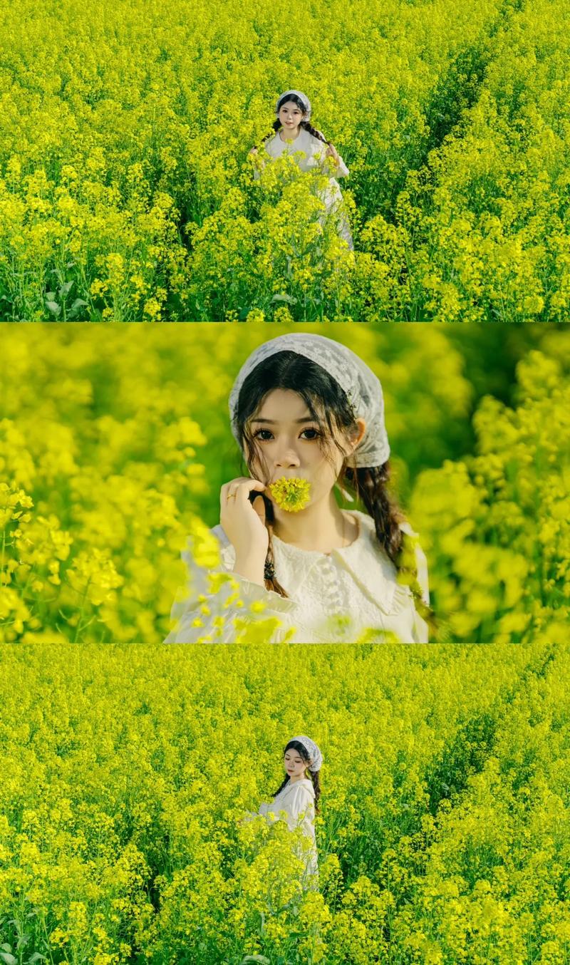 免费拍照好看的软件图3