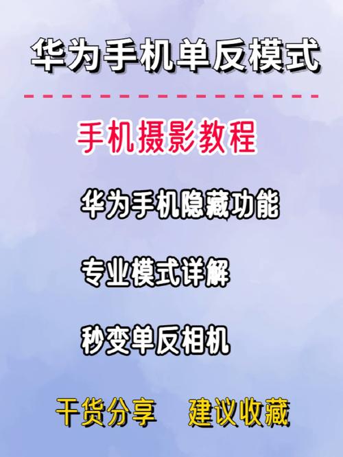 手机拍照技巧视频教程免费版图1