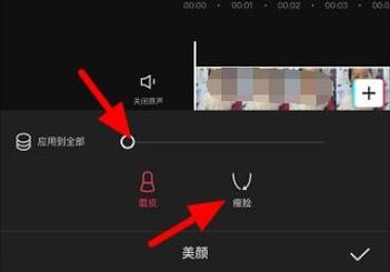 剪映电脑版的美颜功能在哪里剪映视频如何美颜