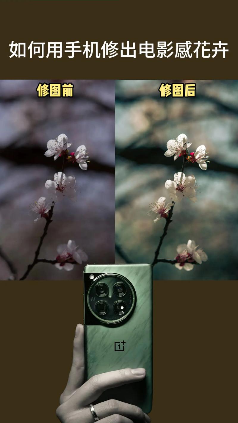 苹果手机照片怎么美颜修图