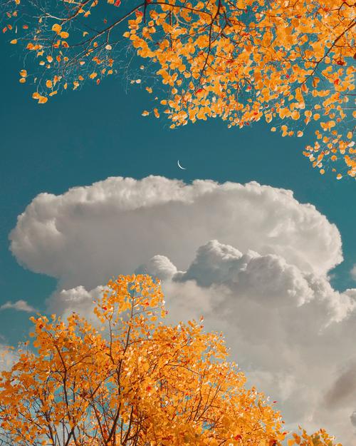 独一无二的背景图图1