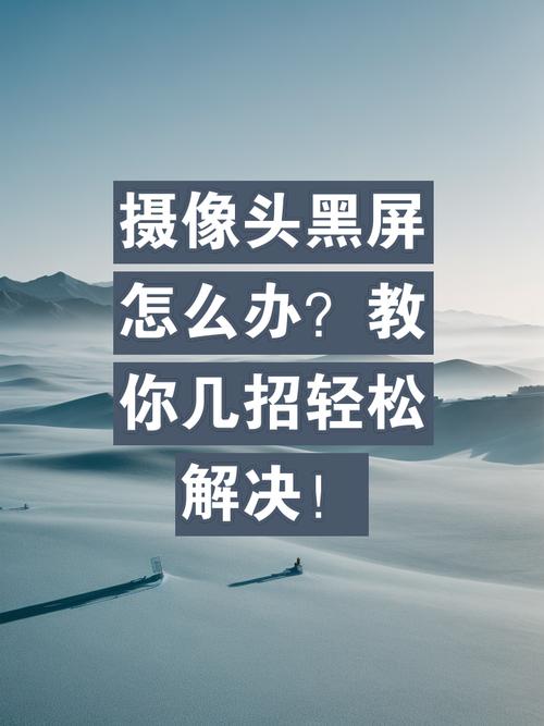 水印相机黑屏怎么回事啊图1