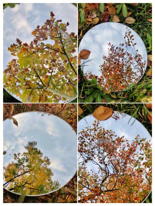 手机上的小镜子图1