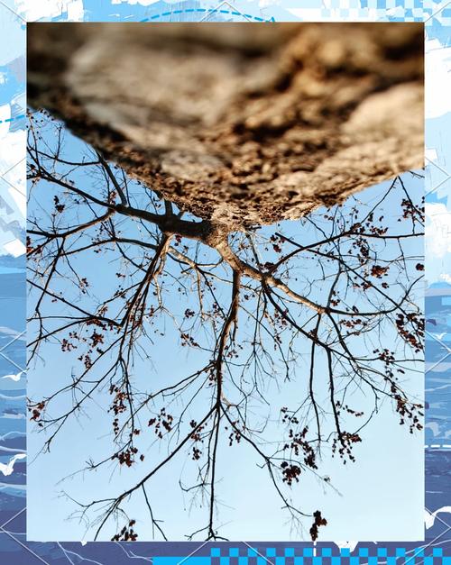 常见的拍摄角度有哪些?图3