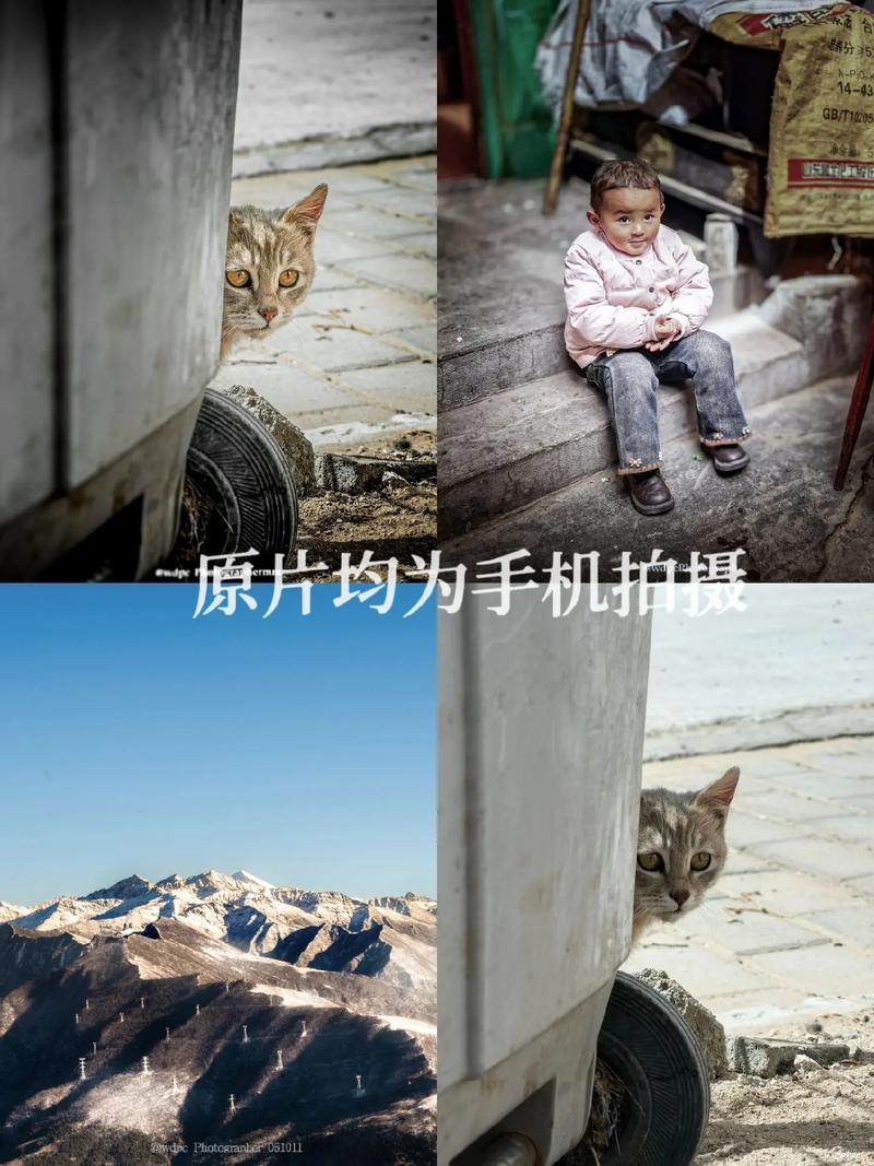 手机拍照角度图2