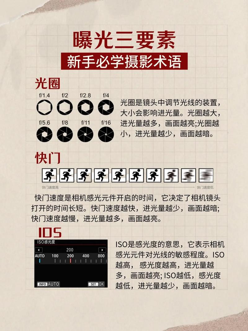 小白入手摄影,应该从哪里学起?