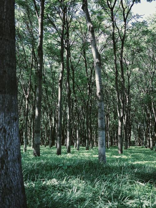 拍照软件电脑版图1