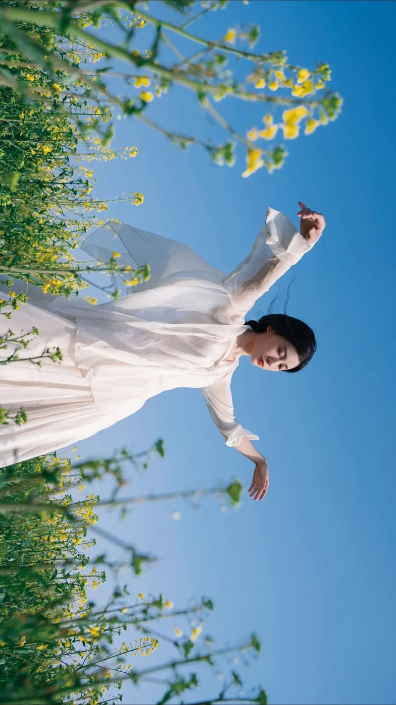 抖音背景图几比几图3