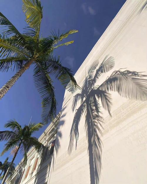 投影仪背景图ins图1