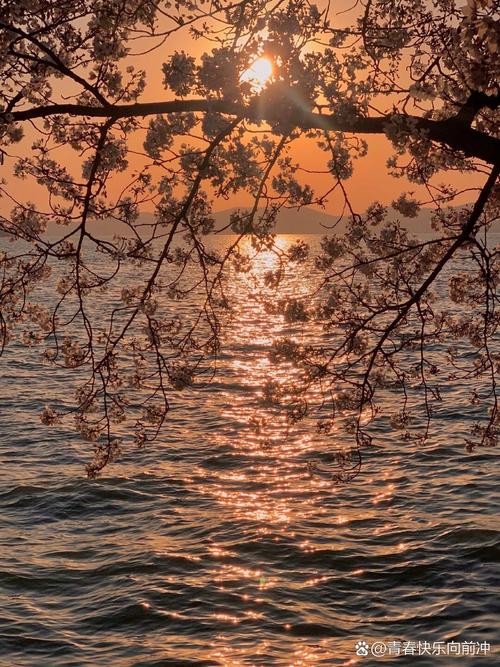 有哪些一眼惊艳的背景图?都在这里啦