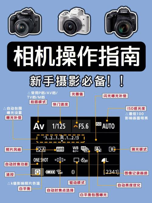 电脑拍照的软件哪个好用免费图3