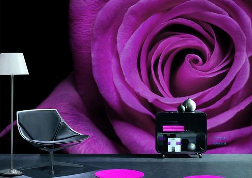 纯紫色好看背景图3