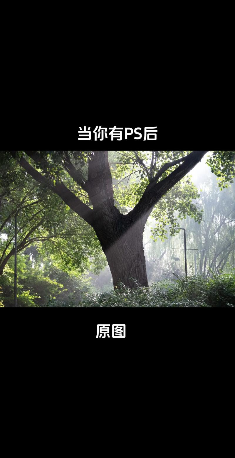 如何用ps把图片的背景变成纯色的?