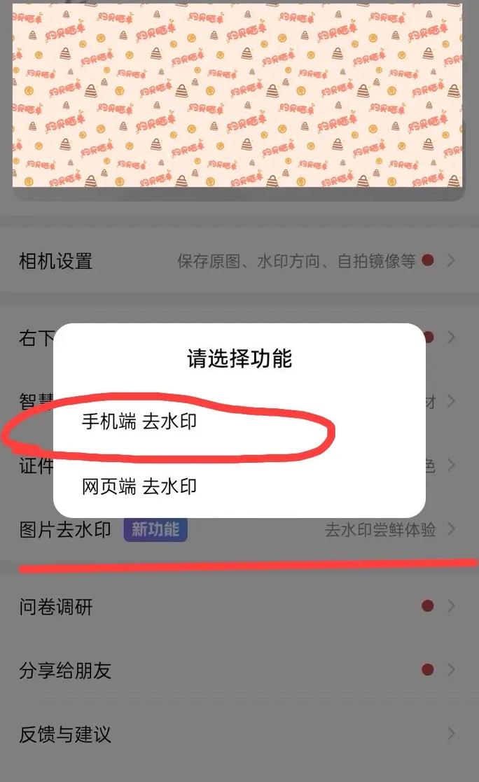 今日水印相机能加好友吗图1