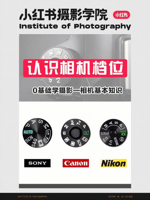 什么相机拍照片带时间和日期图2