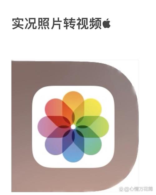 苹果来回播放的照片怎么做成视频发送图2