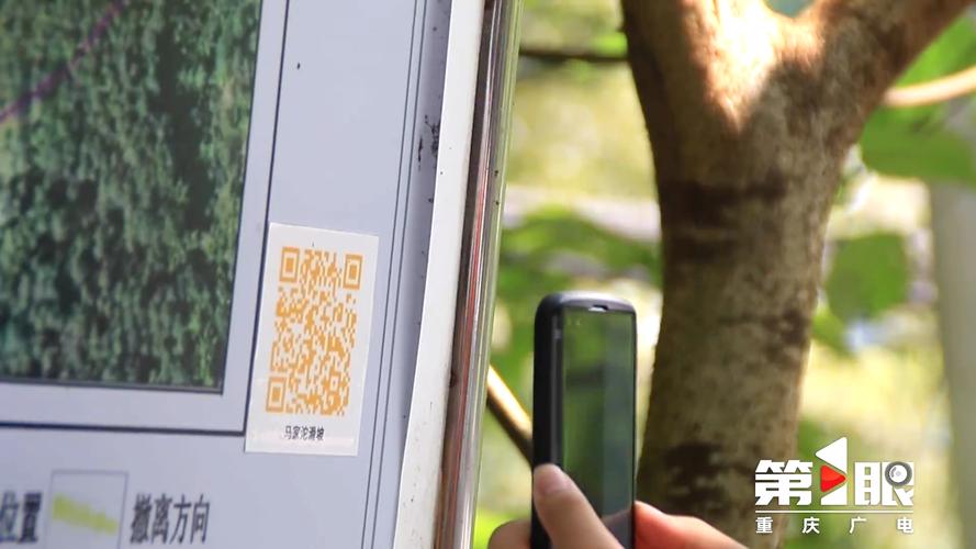 有没有拍照就能算数的软件图2