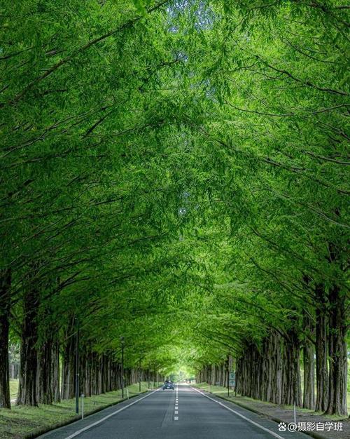 哪款手机拍照最清晰自然真实