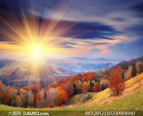 拍照背景图片素材高清图图1