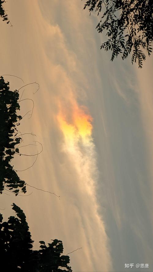 最便宜的潜望长焦手机