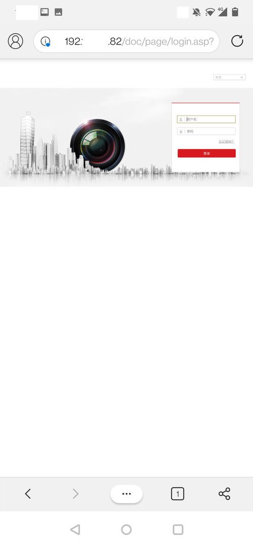 cam在国外的聊天中是什么意思