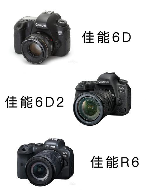 拍照怎样找角度最好看图3