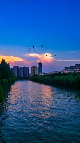 拍照比较好的手机有哪些