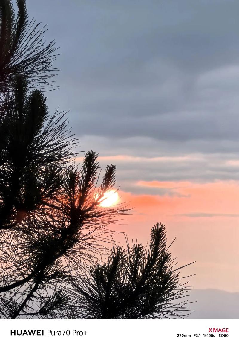 华为哪款手机拍照效果好还性价比高图1